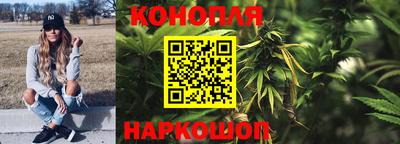 гидропоника Изобильный