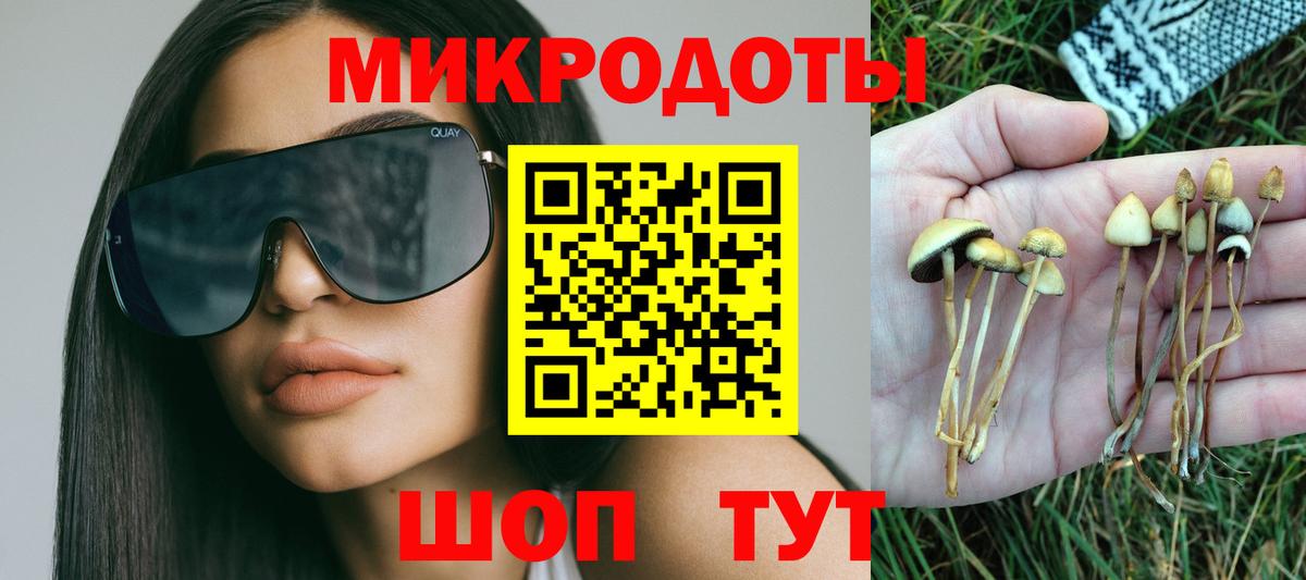 Псилоцибиновые грибы MAGIC MUSHROOMS  Вход с VPN  Мытищи 